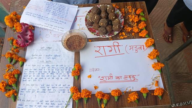 Event Millets Day